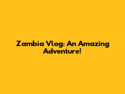 Zambia Vlog: An Amazing Adventure!