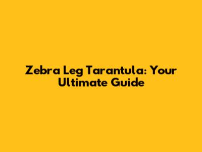 Zebra Leg Tarantula: Your Ultimate Guide
