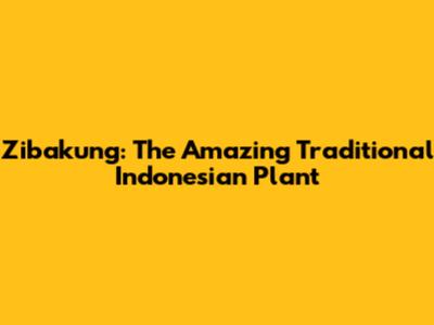 Zibakung: The Amazing Traditional Indonesian Plant