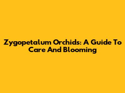 Zygopetalum Orchids: A Guide To Care And Blooming